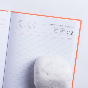 Agenda Cannes económica