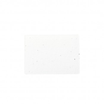 Bloc notas semillas 20 notas adhesivas publicitario