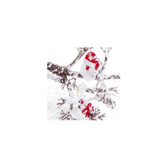 Set de 2 adornos navideños publicitario