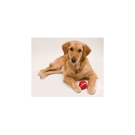 Pelota mascotas publicitario