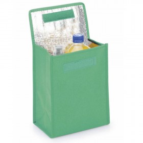 Nevera portátil promocional