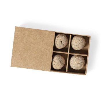 Kit huerto 4 semillas publicitario